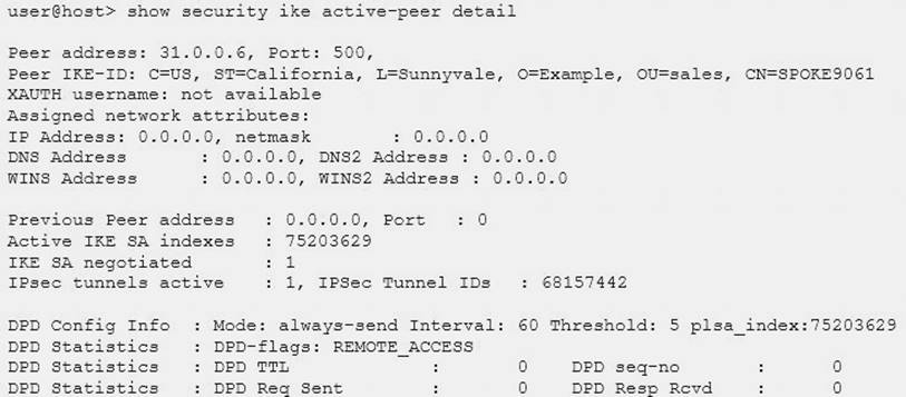 JN0-333 dumps exhibit