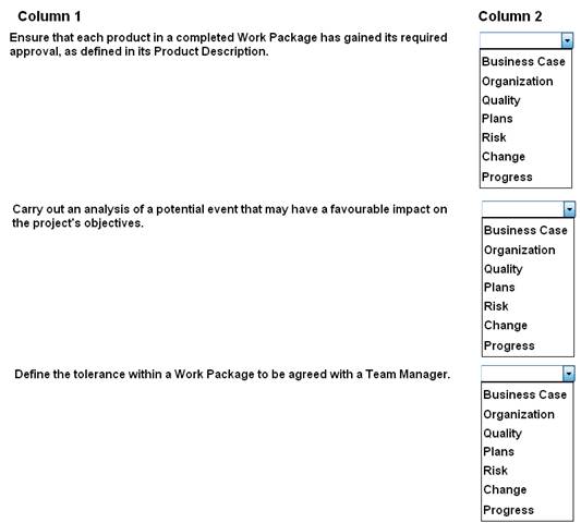 Prince2-Practitioner dumps exhibit