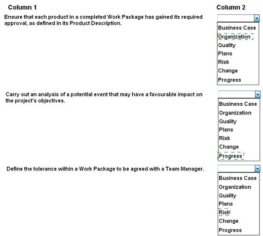 Prince2-Practitioner dumps exhibit